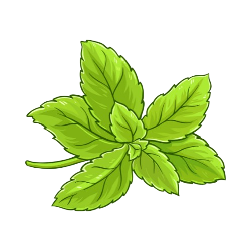 Glikosida Steviol Icon